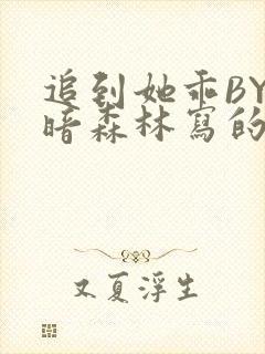 追到她乖BY黑暗森林写的小说