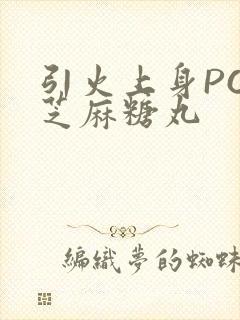 引火上身POP芝麻糖丸