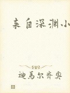 来自深渊小说