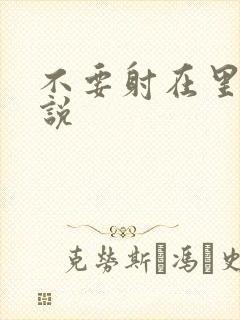 不要射在里面小说