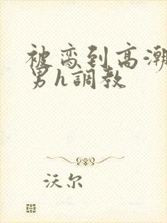 被脔到高潮的直男h调教