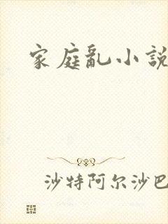 家庭乱小说
