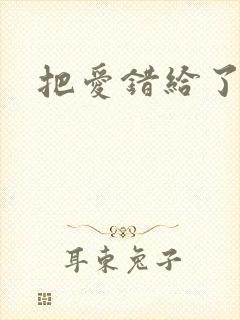 把爱错给了你