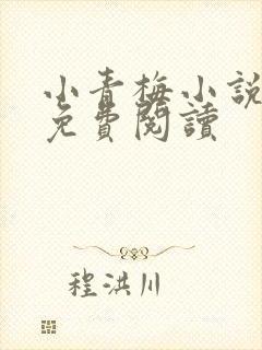 小青梅小说全文免费阅读