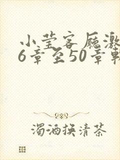 小莹客厅激情46章至50章软件介绍
