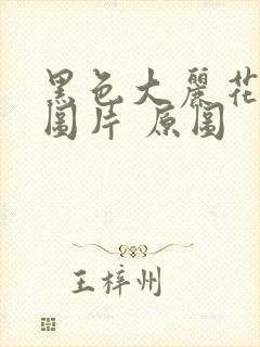 黑色大丽花真实图片 原图