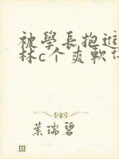 被学长抱进小树林c个爽软件