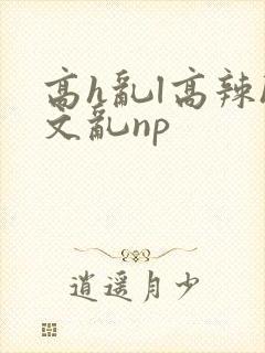 高h乱l高辣h文乱np