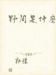 野周是什么意思