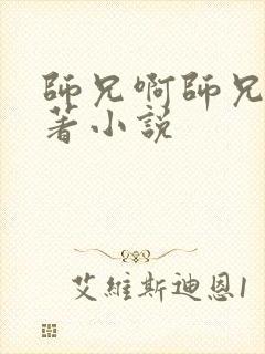 师兄啊师兄的原著小说