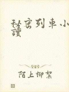 秘密列车小说阅读