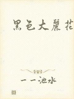 黑色大丽花图片