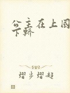 公主在上国师请下轿