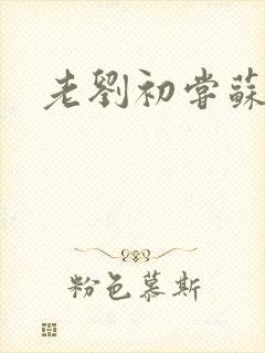 老刘初尝苏荷媳