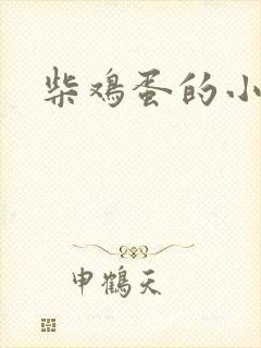 柴鸡蛋的小说