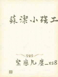 苏洁小强工地情