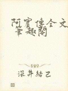 阿宾传全文阅读 笔趣阁