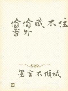 偷偷藏不住新婚番外