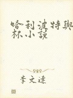 哈利波特与火焰杯小说