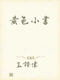 黄色小书