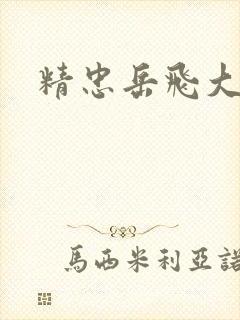 精忠岳飞大结局