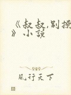 《叔叔,别撩我》小说