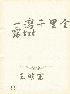 一泻千里金银花露txt