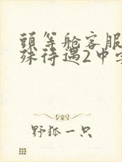 头等舱客服的特殊待遇2中字