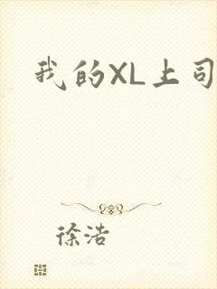 我的XL上司