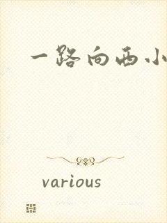 一路向西小说