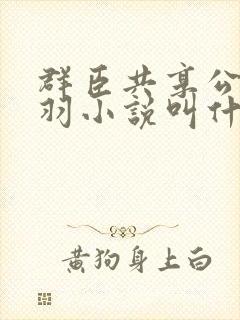 群臣共享公主银羽小说叫什么