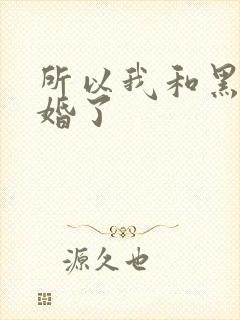所以我和黑粉结婚了