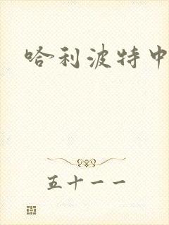 哈利波特中文版