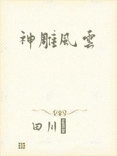 神雕风云