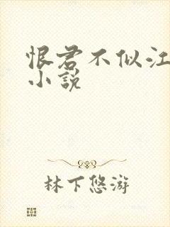 恨君不似江楼月小说