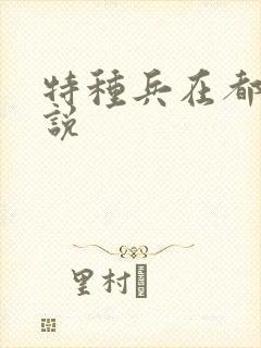 特种兵在都市小说