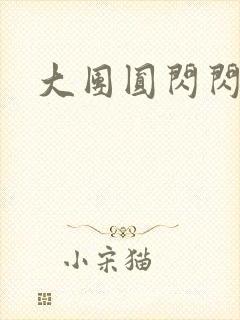 大团圆闪闪发光