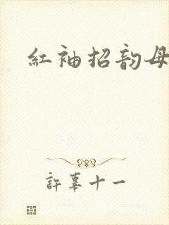 红袖招韵母攻略