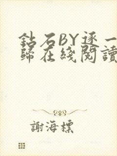 钻石BY逐一而归在线阅读