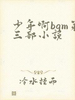 少年啊bgm第三部小说