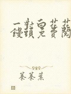 一对白花花的大馒头免费阅读