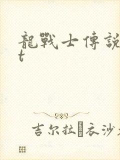 龙战士传说txt