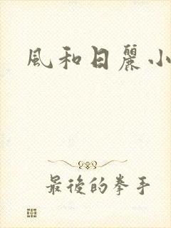 风和日丽小说