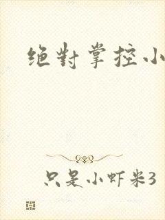 绝对掌控小说