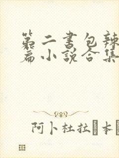 第二书包辣网短篇小说合集