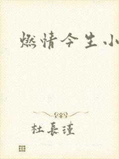燃情今生小说