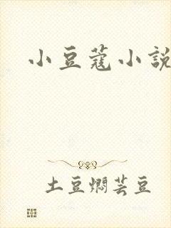 小豆蔻小说