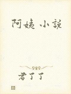 阿姨 小说