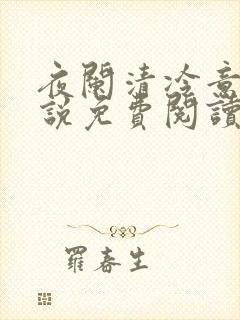 夜阑清冷意欢小说免费阅读