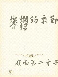 灿烂的季节剧情介绍